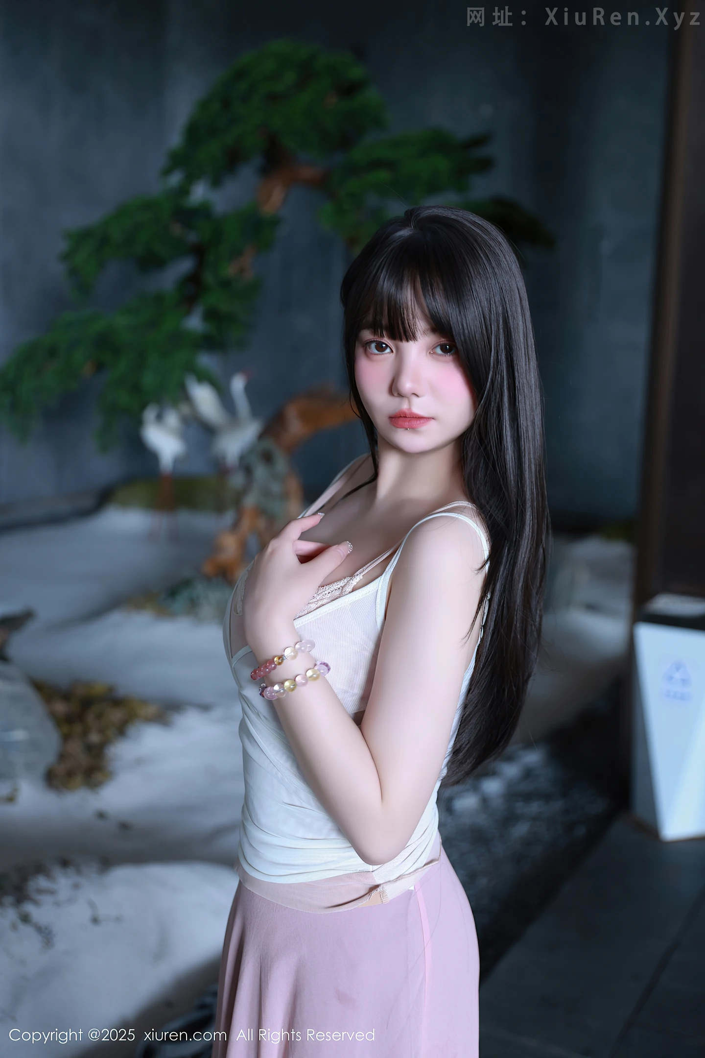 图片[3]-[XiuRen秀人网] VOL.10746 模特软情性感低胸紫色长裙露粉色内衣秀曼妙身姿迷人诱惑写真86P-秀人网官方网站